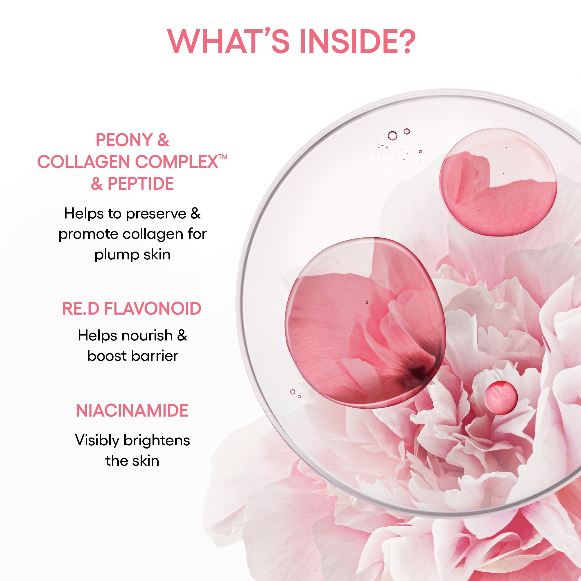 Bouncy & Firm Serum - Image 6